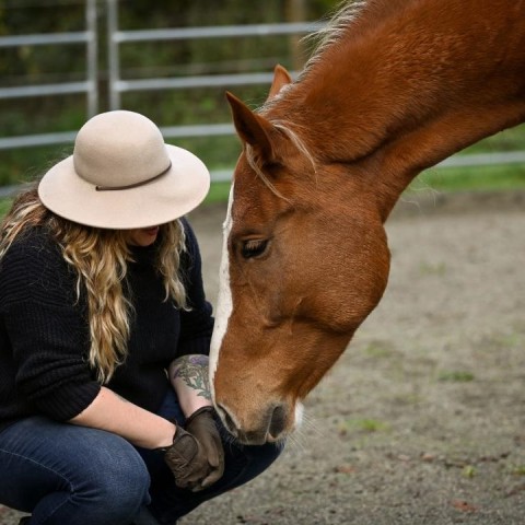 The Professional Association for Equine Facilitated Wellness (Pro-EFW) 